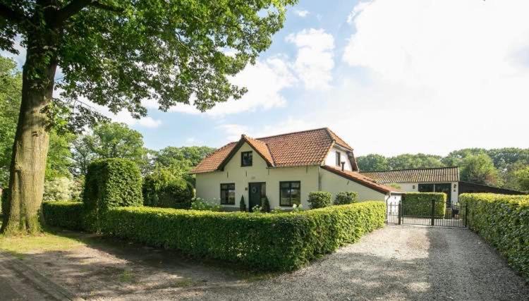 Logement In De Peel Griendtsveen Экстерьер фото